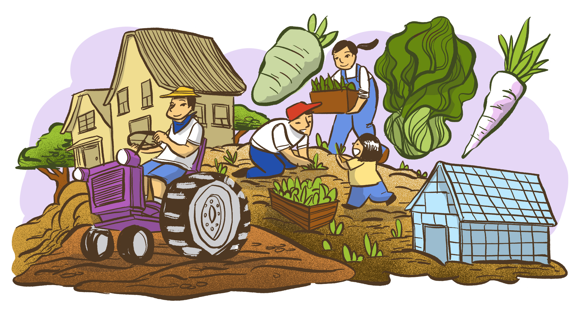 An illustration of Chinese Canadian Farmers working on their farm. On the right hand side is a glass green house, and a family is picking vegetable outside. The background depict several important Chinese vegetable: Bok Choy, Daikon etc. On the left hand side is a farm house and a farmer driving a truck on their farm.