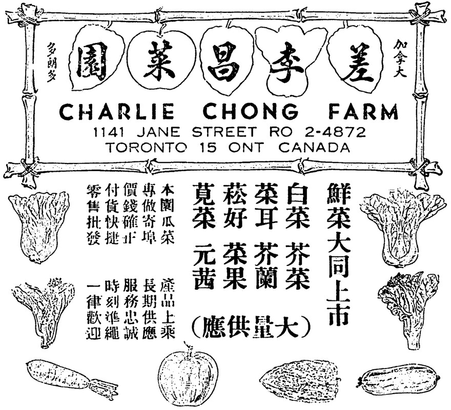 Advertisement for Charlie Chong Farm, 1141 Jane Street, Toronto. The image contains drawings of the various vegetables grown on the farm.