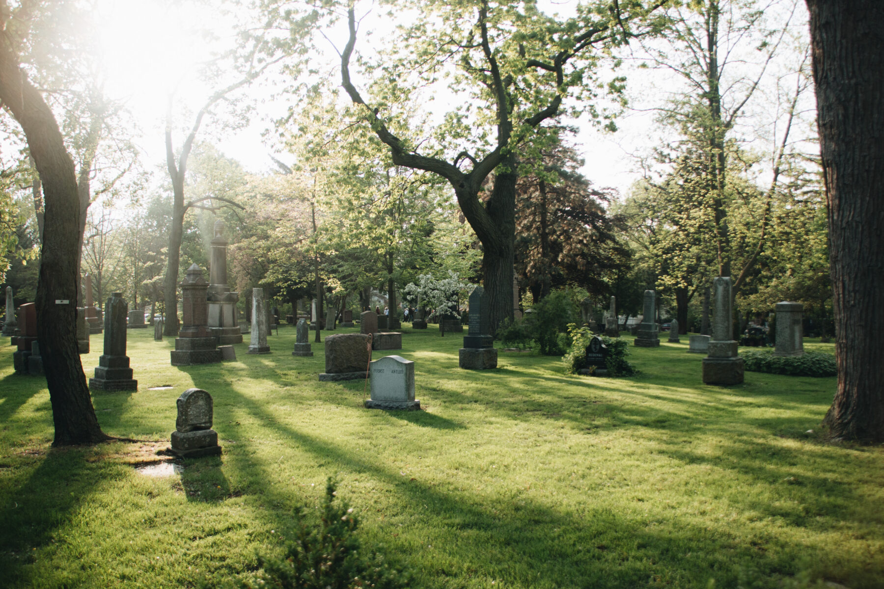Several grave stones appear in a park-like setting with large mature trees throughout and a bright ray of sunshine visible on the upper left, casting shadows throughout the image.